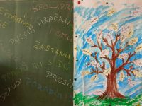 foto - web